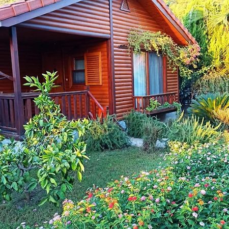 Leontopolis Apart Otel Çıralı 外观 照片