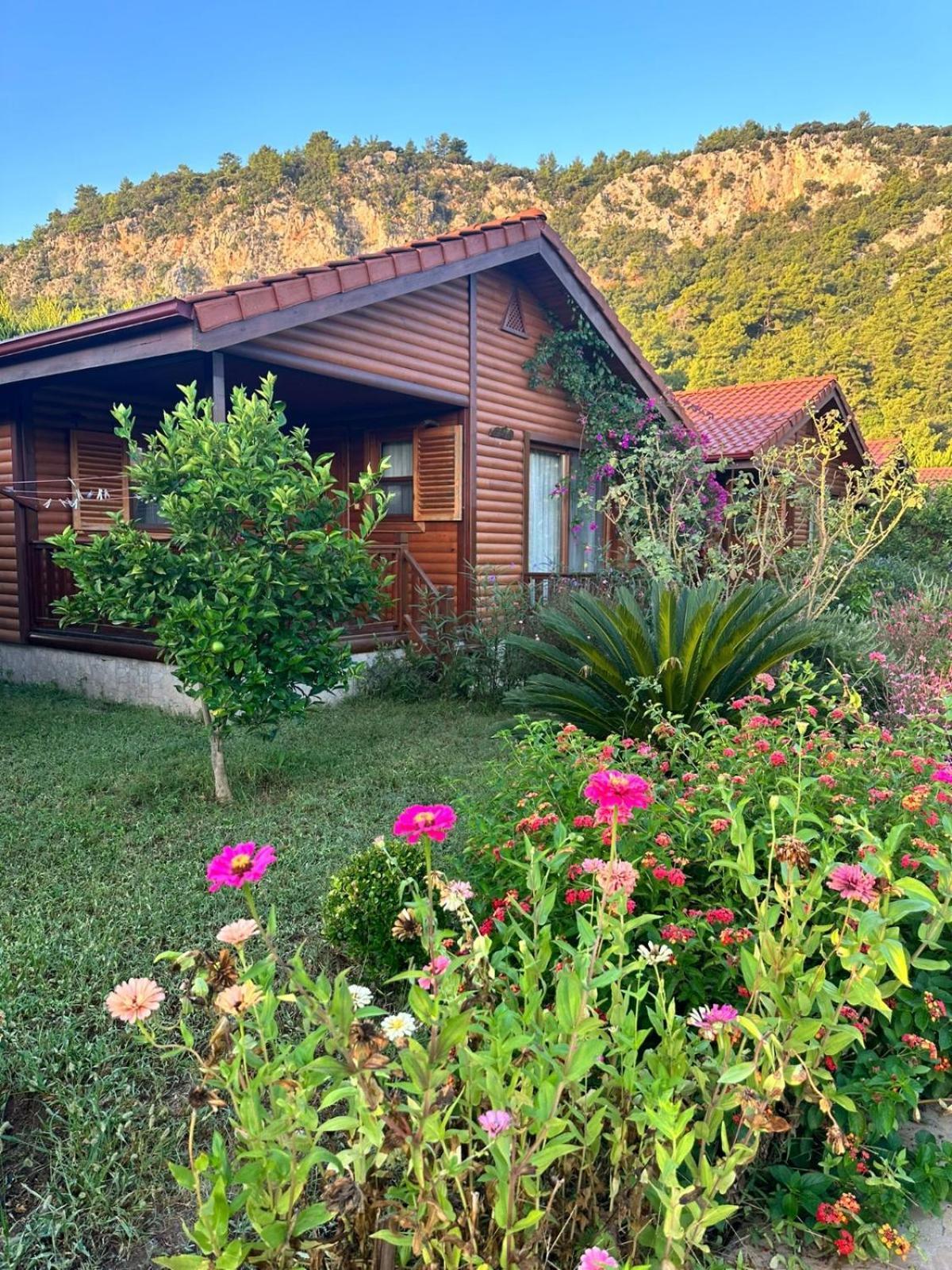 Leontopolis Apart Otel Çıralı 外观 照片